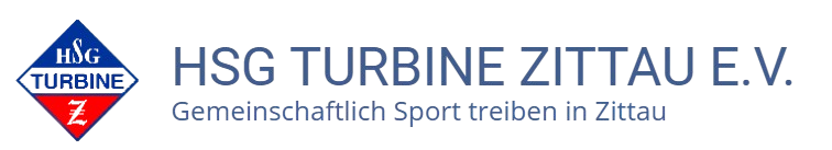 HSG Turbine Zittau logo — Accessive accessibility compliance client